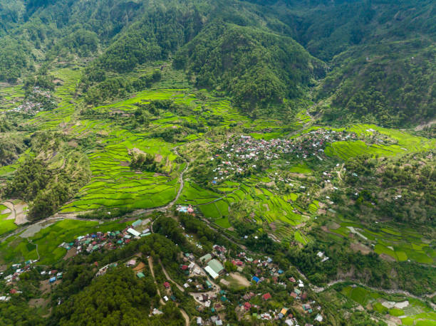 istock Mountains and agricultural land in the Philippines. 1481836698