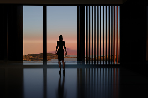 Silhouette of an elegant woman in a short dress with her back turned looking through a window towards a lake.3d render