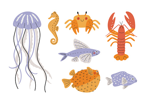 Sea life set. Hand drawn jellyfish, crab, seahorse, lobster, flying fish, puffer fish. Colorful marine characters for kids design