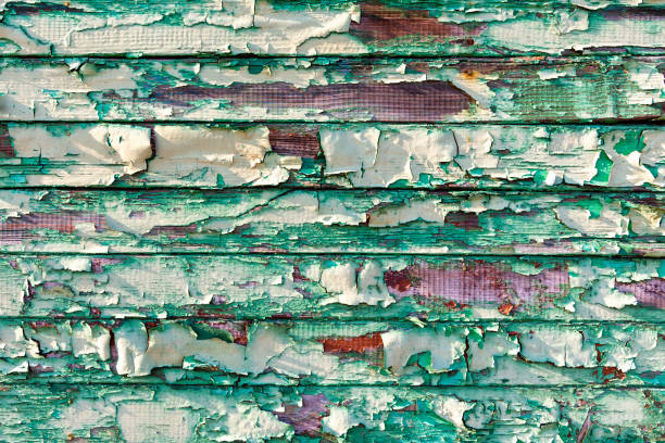 istock Old plank rotted with paint peeling off.cracked paint texture.Color Peel wood texture.old weathered wooden planks wall as background, grunge texture pattern with scratches and paint peel off details. 1481843722