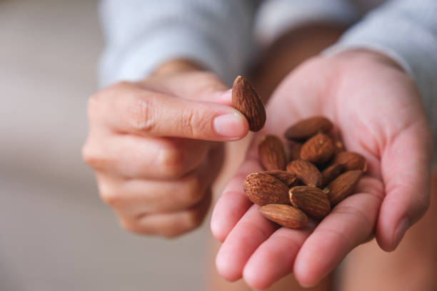 istock Closeup image of hands holding and picking up an almonds 1481843931