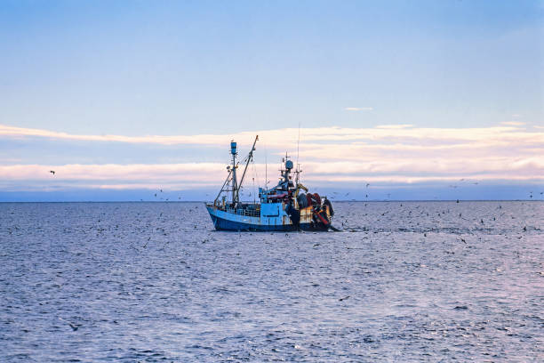 istock Fishing boat trawling at sea 1481843947