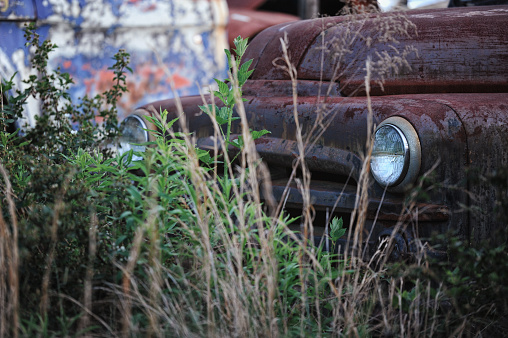 Abandoned vintage vehicles in an old Virginian junkyard.