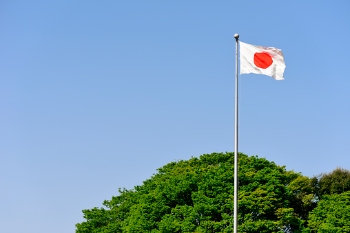 Japanese flag with springtime tree against clear sky with copy space.