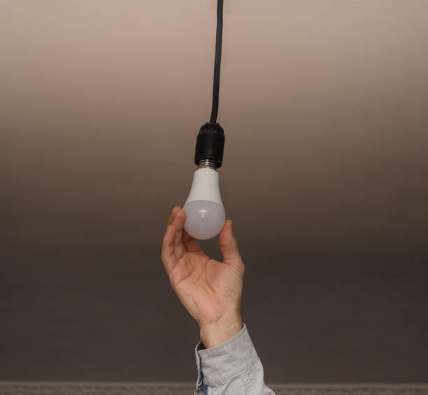 istock a cartridge into which an LED lamp is screwed. 1481846787