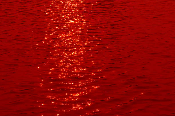 Defocus blurred transparent red colored clear calm water surface texture with splashes and bubbles. Trendy abstract nature background. Water waves in sunlight with copy space. Red water shine