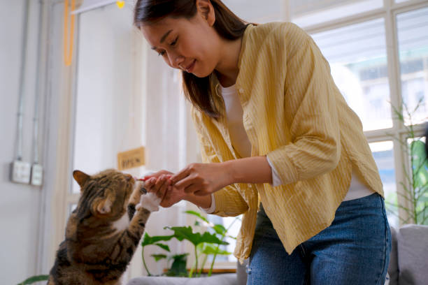 istock Woman and cat stay in house. 1481848037