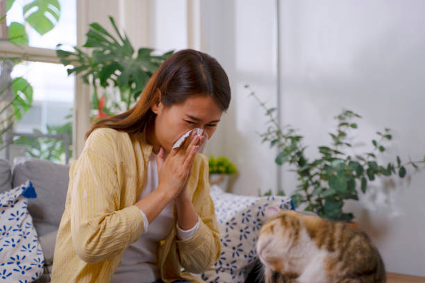 istock Woman and cat stay in house. 1481848131