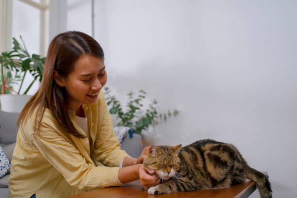 istock Woman and cat stay in house. 1481848150