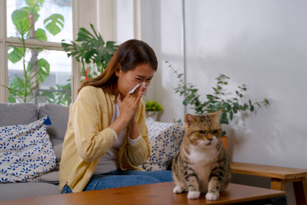 istock Woman and cat stay in house. 1481848165