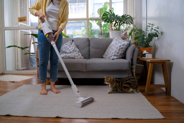 istock Woman and cat stay in house. 1481848332