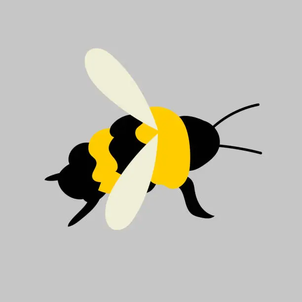 Vector illustration of Bee Icon