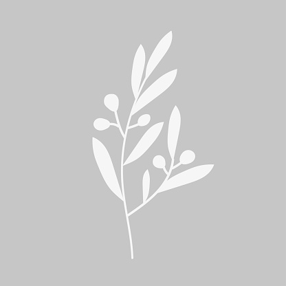 Olive Leaf Icon