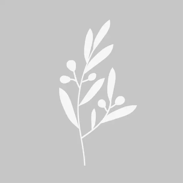 Vector illustration of Olive Leaf Icon