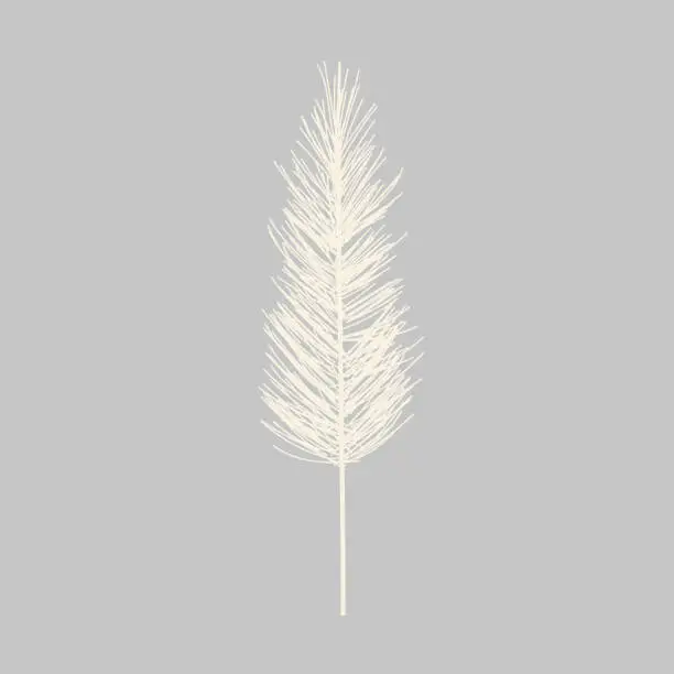 Vector illustration of Pampas Pattern