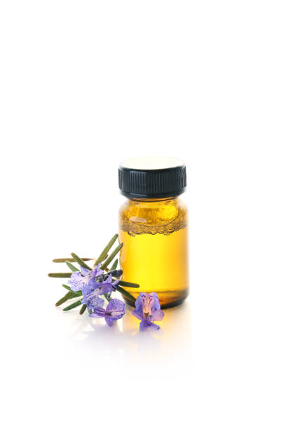 istock blue rosemary flowers isolated on a white background 1481852748