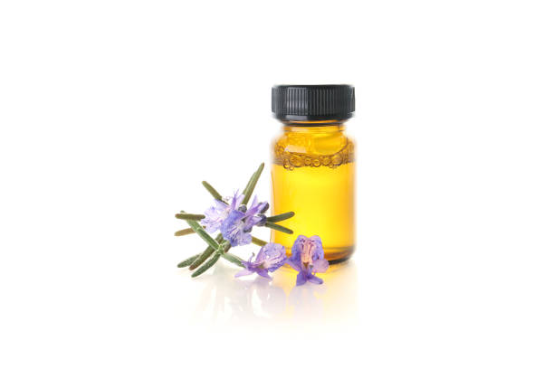 istock blue rosemary flowers isolated on a white background 1481852773