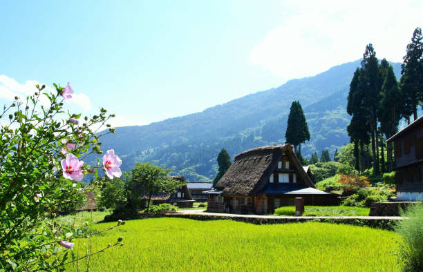 istock Scenery of Gokayama Village in Toyama Prefecture. 1481853607