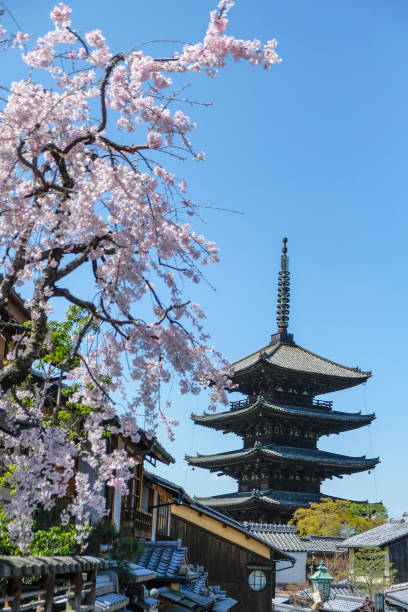 Kyoto, Japan - March 28, 2023: Yasaka pagoda of ancient Hokanji temple in Kyoto, Japan.
