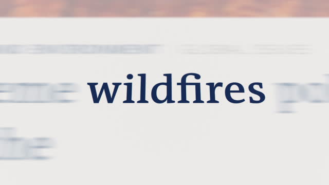 Wildfires in the article and text