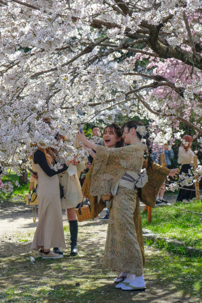 Mujeres en kimonos en Kioto, Japón - foto de stock
