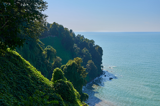 view of the sea and mountains at the Batumi Botanical Garden