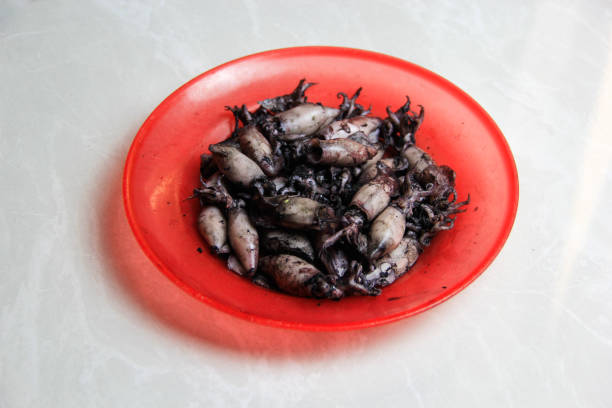 istock close up black squid boiled on a red plate with a white background 1481861625