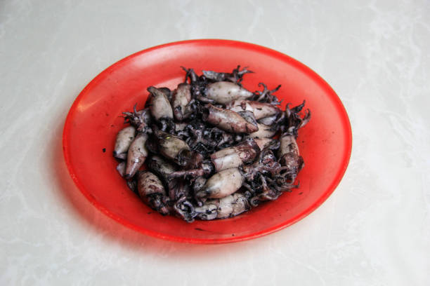 istock boiled squid on a red plate with a white background 1481861630
