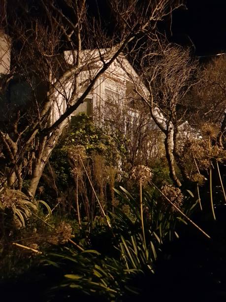 istock House through the trees at night 1481862679