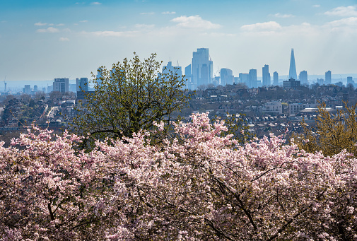 Cityscape of London at early spring seen from the Alexandra Park