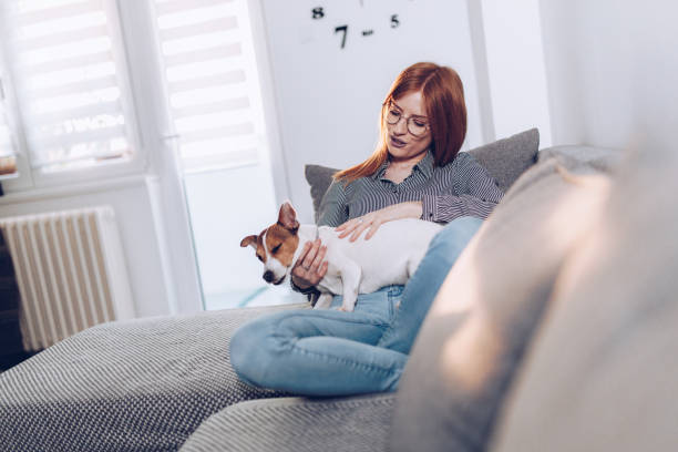 istock Natural ginger in her living room with her small dog 1481865969