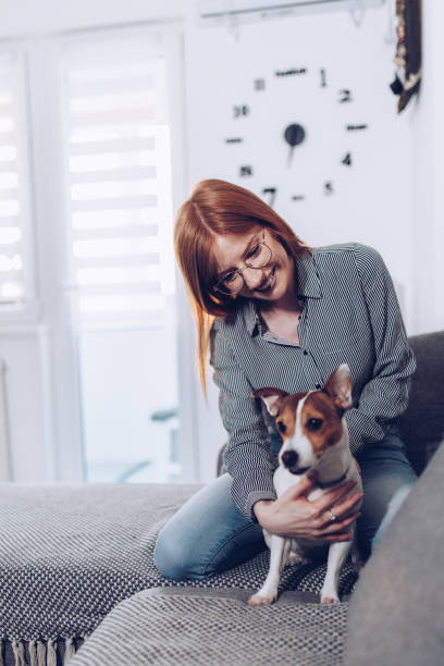 istock Natural ginger in her living room with her small dog 1481866006