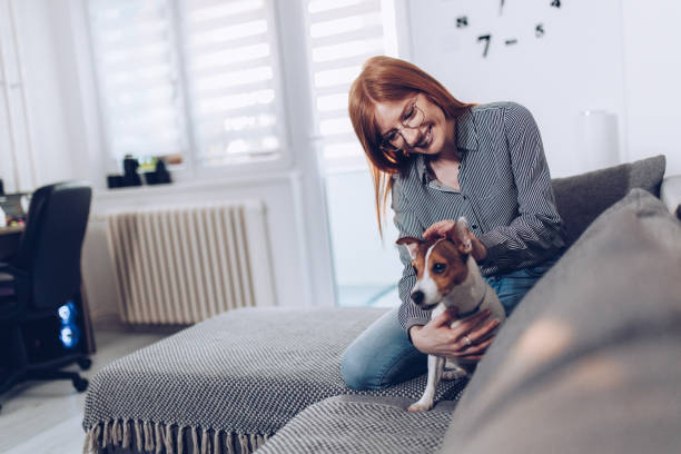 istock Natural ginger in her living room with her small dog 1481866007