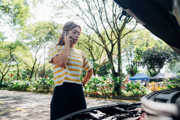istock Navigating Roadside Emergencies: A Young Asian Woman's Journey with Car Breakdowns and Requesting Assistance 1481872652
