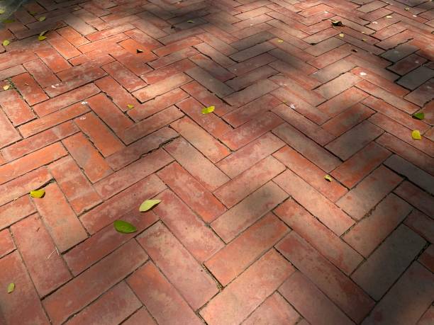 istock Shade of the tree on the old footpath 1481875126