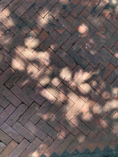 istock Shade of the tree on the old footpath 1481875528