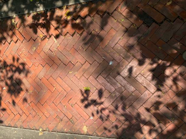 istock Shade of the tree on the old footpath 1481876062