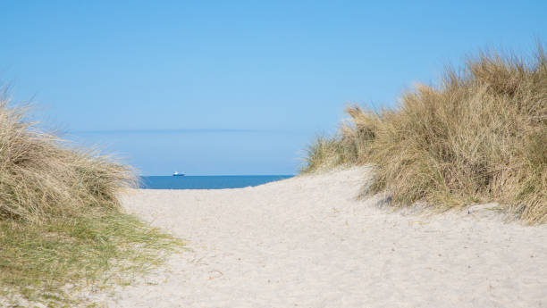 istock path in the sand dunes on North Sea 1481876193