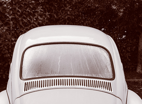 Cenaia, Italy - January 8, 2023: the rear window of a famous classic car (the German Beetle) is wet with morning dew.