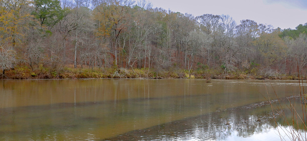 Just some space occupied by the Flint River and shot in Thomaston, Georgia at Sprewell Bluff State Park