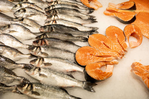istock Fresh pieces of red fish and whole fish on ice 1481877202