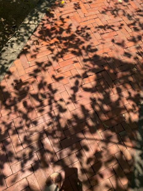 istock Shade of the tree on the old footpath 1481877324