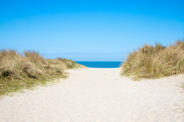 istock path in the sand dunes on North Sea 1481878740