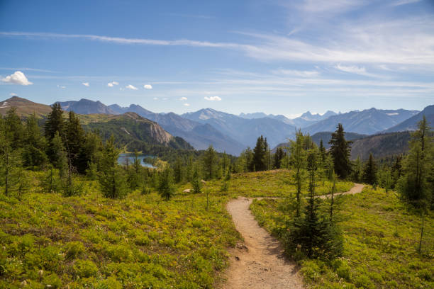 istock Sunshine Meadows in
Summer Canadian Rocky Mountains Alberta Canada 1481880325