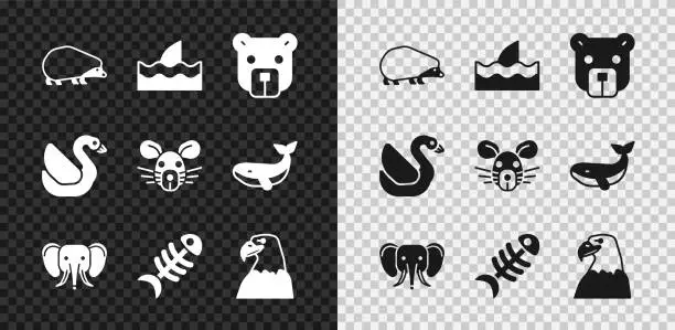 Vector illustration of Set Hedgehog, Shark fin in ocean wave, Bear head, Elephant, Fish skeleton, Eagle, Swan bird and Rat icon. Vector