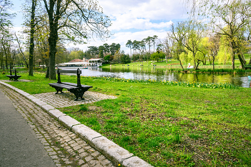 Landscape in a beautiful park on a spring day.