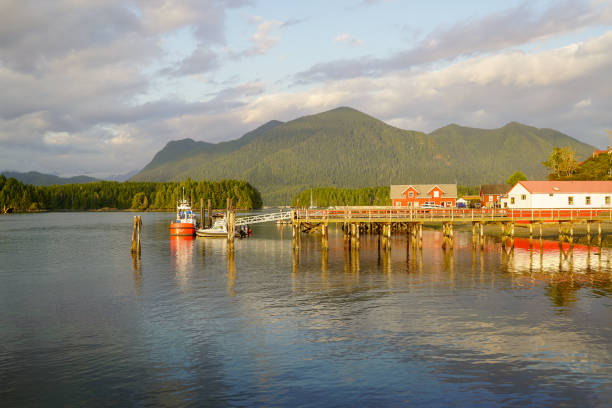 istock Tofino British Columbia Waterfront Sunset 1481881905