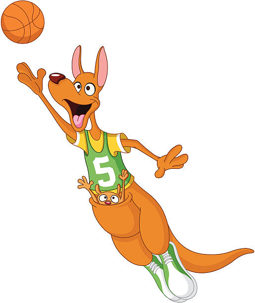 ilustrações, clipart, desenhos animados e ícones de canguru de basquete - kangaroo animal humor fun