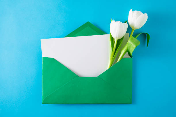 istock White Tulips with White Greeting Card in Blue Envelope 1481882471
