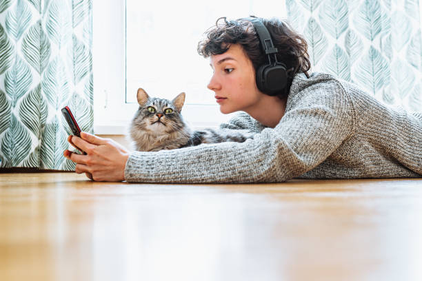 istock Spending your free time at home with your cat 1481883267